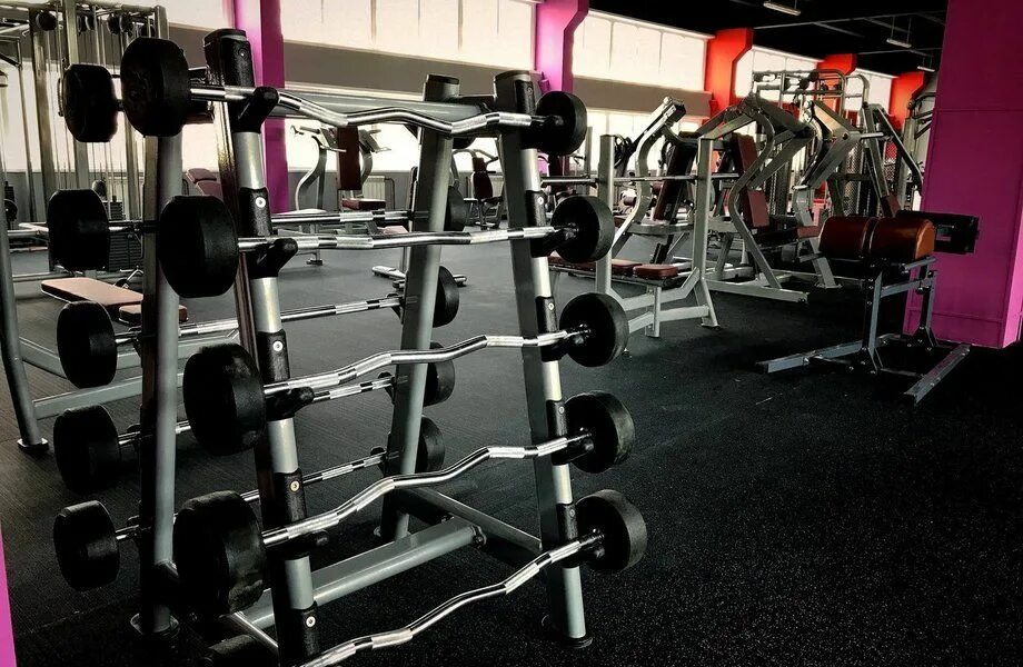 Mytimefitness оптиков. Пирамида фитнес клуб академическая. Mytimefitness оптиков. Майтаймфитнесс оптиков тренеры. Фитнес клуб на академической.