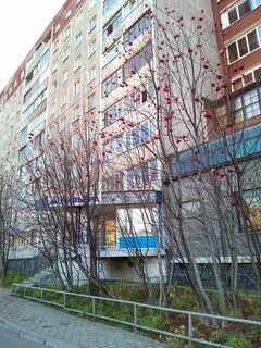 Мурманск 8