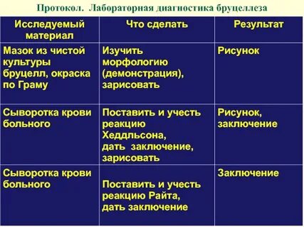 Лабораторная диагностика бруцеллеза животных