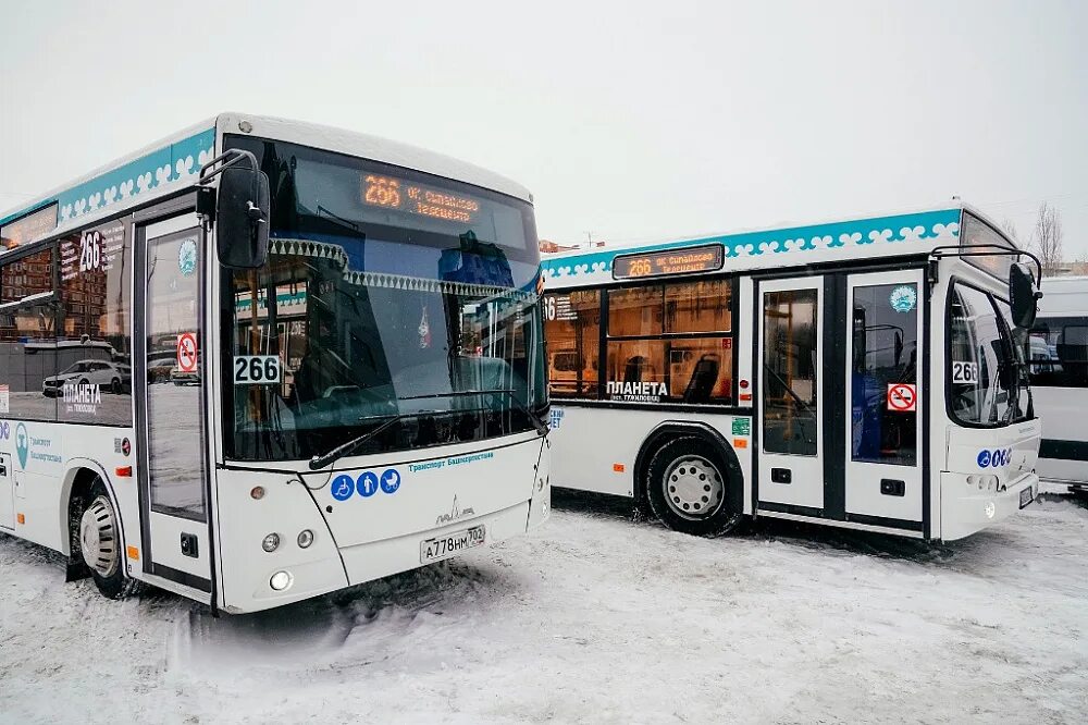 Частные автобусы. Уфа автобус частный. А63r42-5401361. Новые автобусы в уфе. Уфа автобус частный.