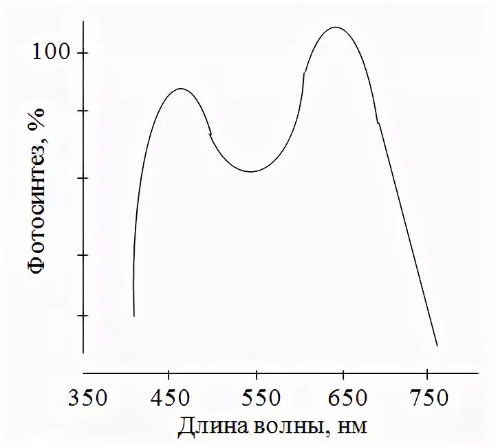 Эффективность фотосинтеза в зависимости от длины волны. График интенсивности дыхания. Спектры пшеницы. Спектр отражения листьев пшеницы. Как изменится интенсивность дыхания и интенсивность фотосинтеза