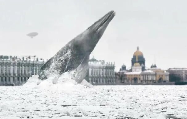 Кит на Неве. Кит в Неве СПБ. Мартовский кит в Неве. Корабль кит на Неве. Рутуб страх над невой