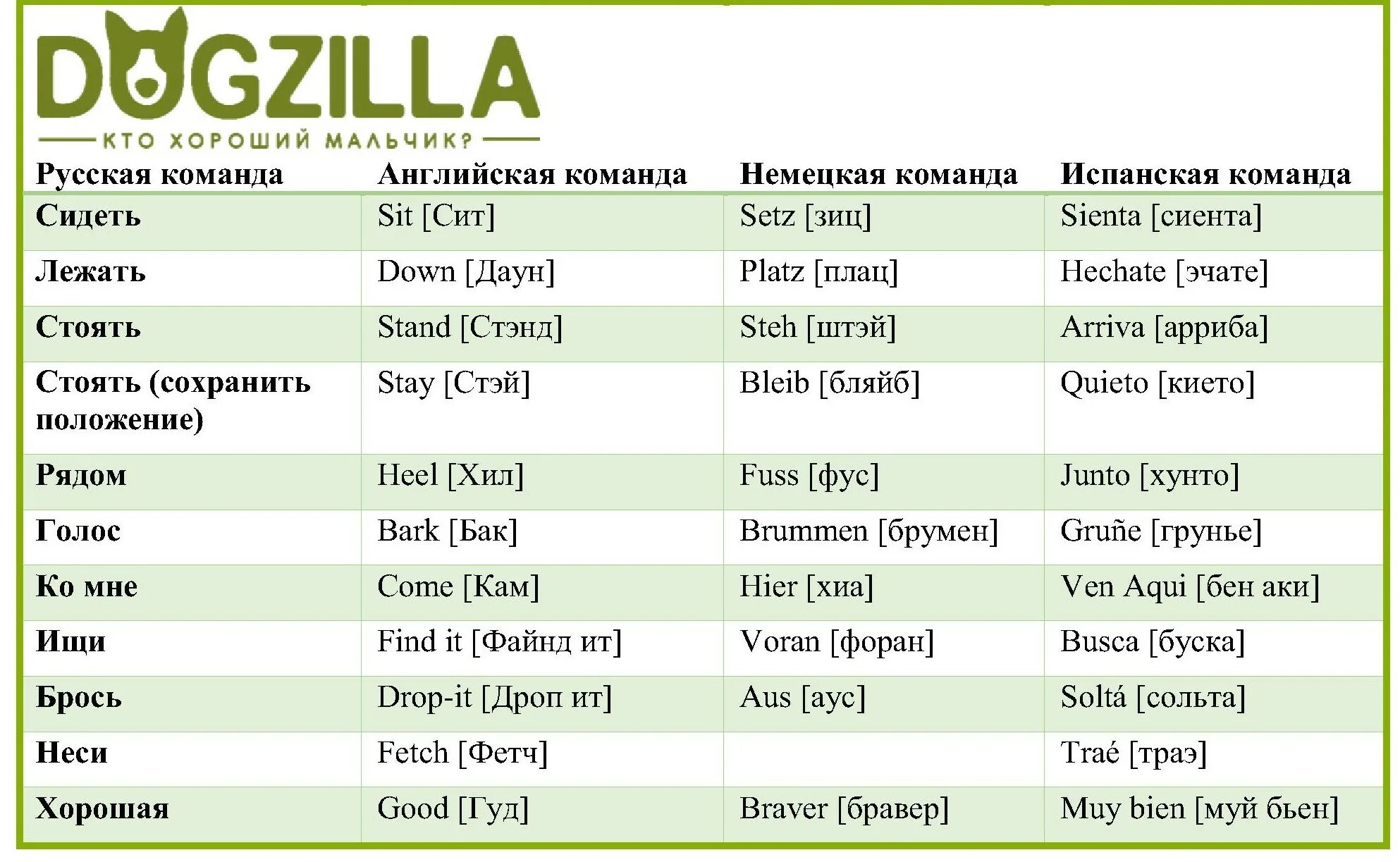 Команды для собак на немецком языке с переводом. Команды для собак на английском языке. Команды для собак на разных языках. Команды для дрессировки собак на немецком языке. Holding перевод с английский