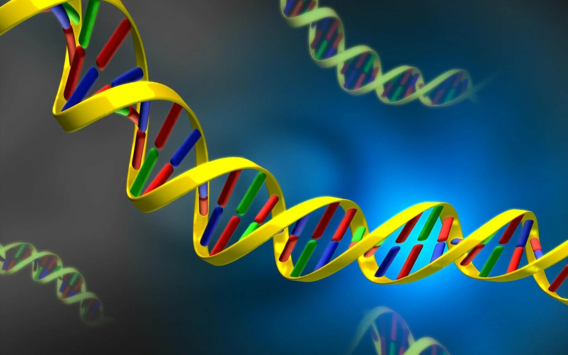 Днк макромолекула. Днк анимация. Dna fi. Двухцепочечная молекула днк. Генетика днк.