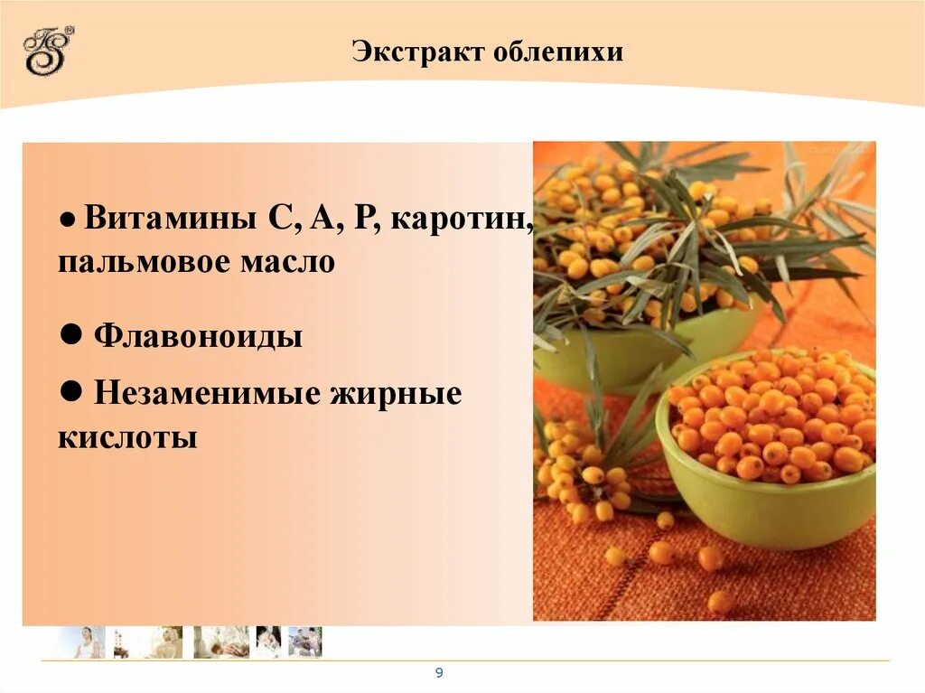 Облепиха какие витамины содержит. Облепиха какие витамины содержит