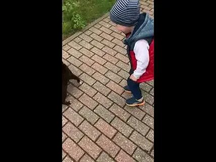 Спроси как у кошечки дела