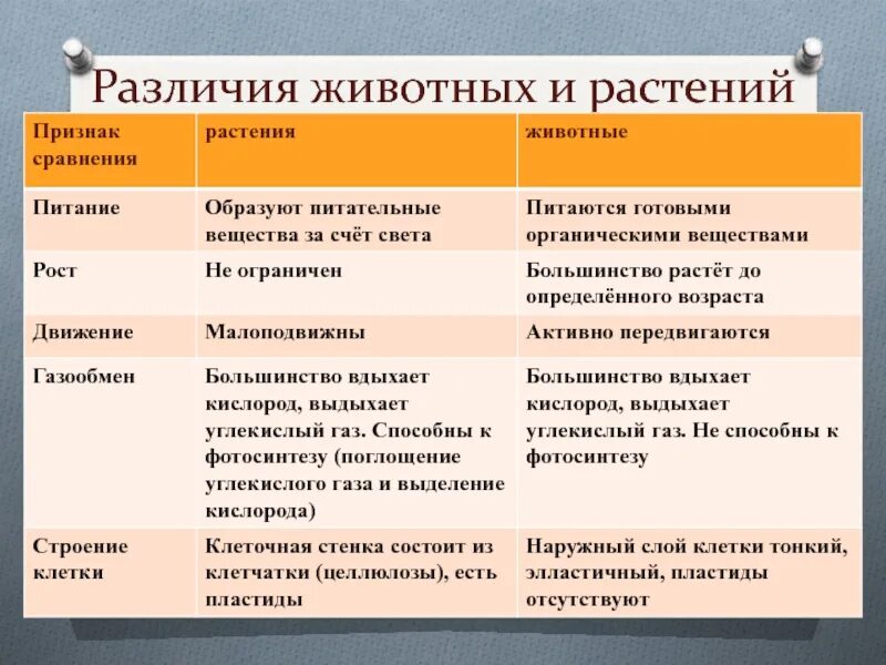 Чем животные отличаются от растений кратко. Различия животных. Отличия животных и растений. Сходства и различия животных и растений. Различия растений и животных таблица.