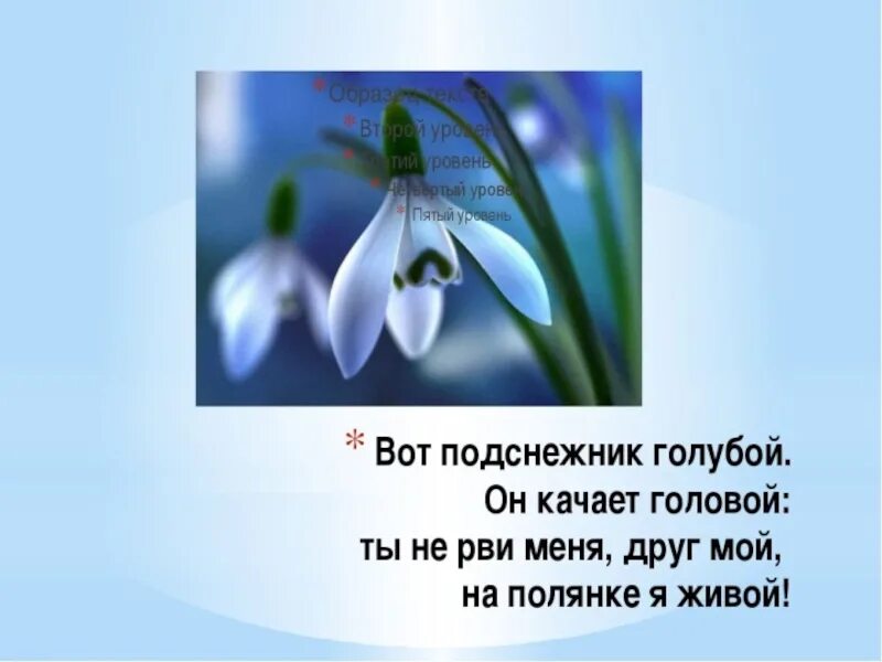 Утром колокольчик распустился голубой ранним составить предложение. Стихотворение Подснежник. Стих про Подснежник. Стихи для малышей про Подснежник. Детские стихи про Подснежник.