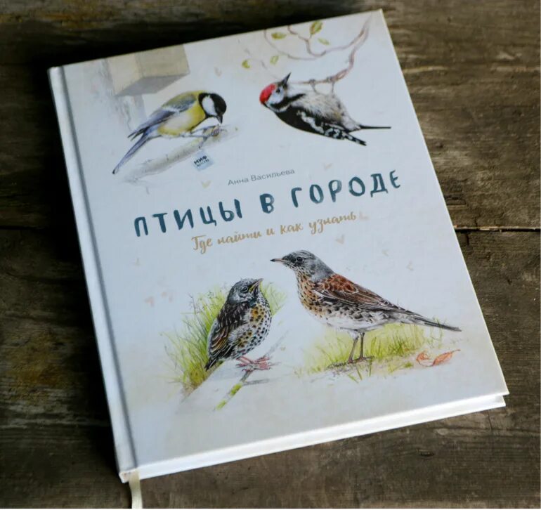 Какого быть птицей книга. Какого быть птицей книга. Птицы в городе васильева. Книги о птицах. Птицы в городе васильева.