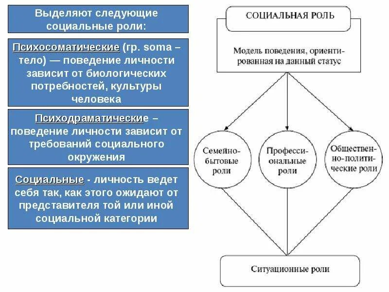 К примерам институционализированных социальных ролей можно отнести Таблица мои социальные роли фото