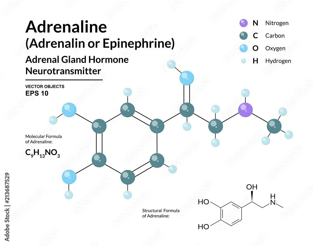 Adrenaline перевод