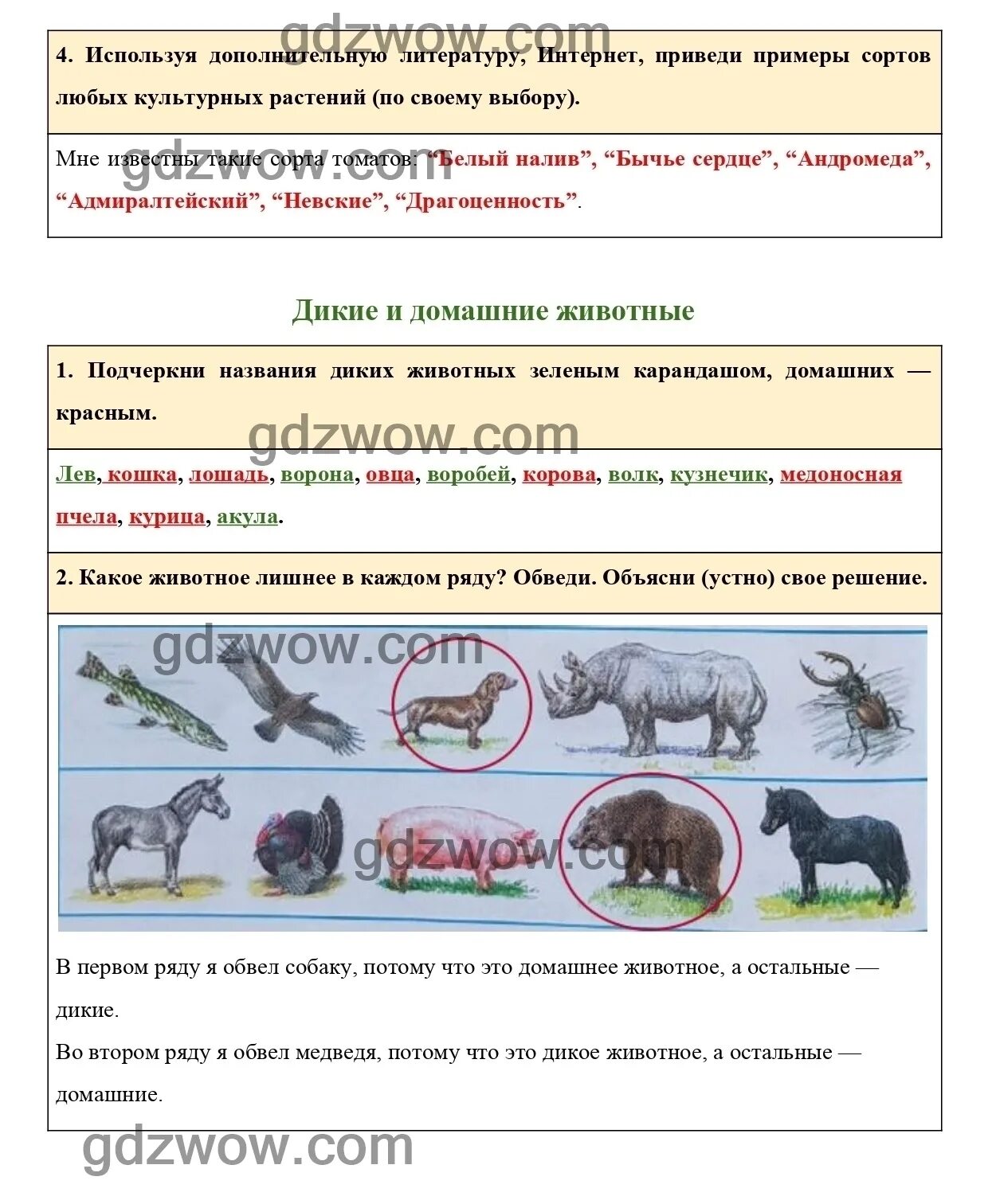 Окружающий мир 2 класс породы. Гдз по окружающему миру 2 класс рабочая тетрадь. Домашние животные окружающий мир 2 класс рабочая. Окружающий мир 2 класс рабочая тетрадь домашние животные. Дикие и домашние животные 2 класс окружающий мир рабочая тетрадь.