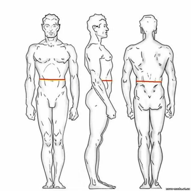 Правильная форма члена. Измерения мужской фигуры. Снятие мерок с мужской фигуры. Шаблон мужской фигуры. Правильная фигура мужчины.