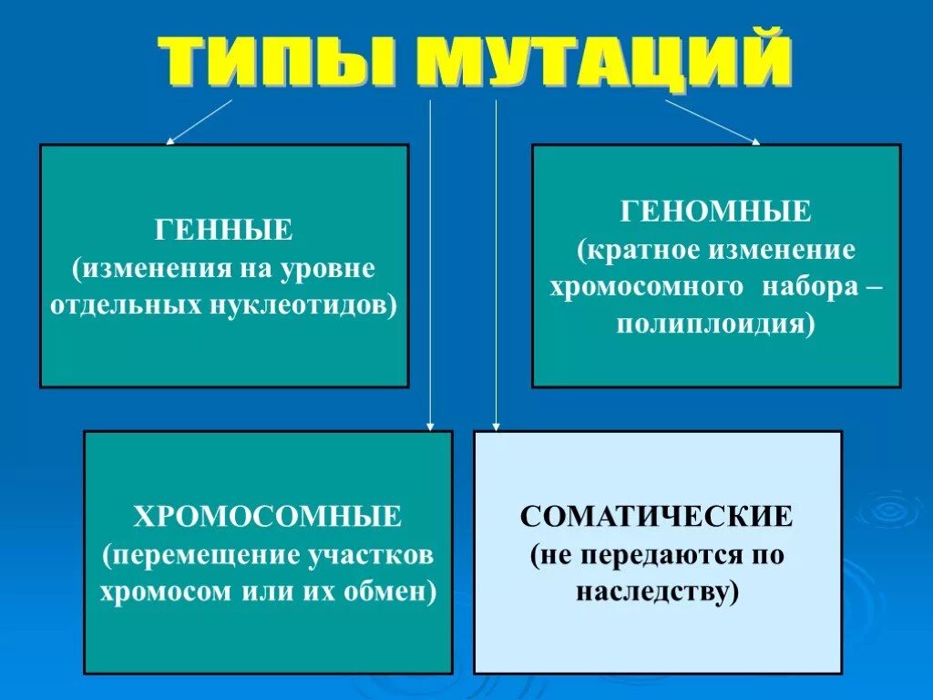 Генные геномные хромосомные мутации таблица примеры. Типы мутаций. Классификация мутаций генные хромосомные геномные. Типы геномных мутаций.