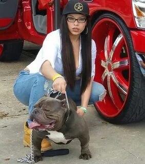 Pitbull girls
