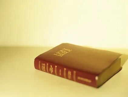 Libro de