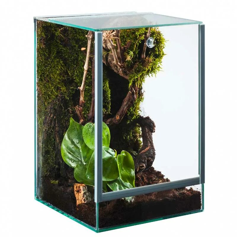 Террариум экзотерра. Exo terra террариум 45x45x90. Exo terra 90x45x90. Террариум repti zoo 90 45 45. Террариум экзотерра нано.