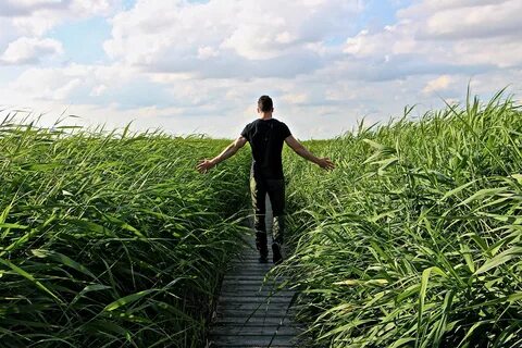 People path