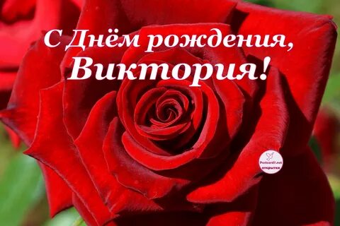 Музыкальные поздравления с днем рождения вики