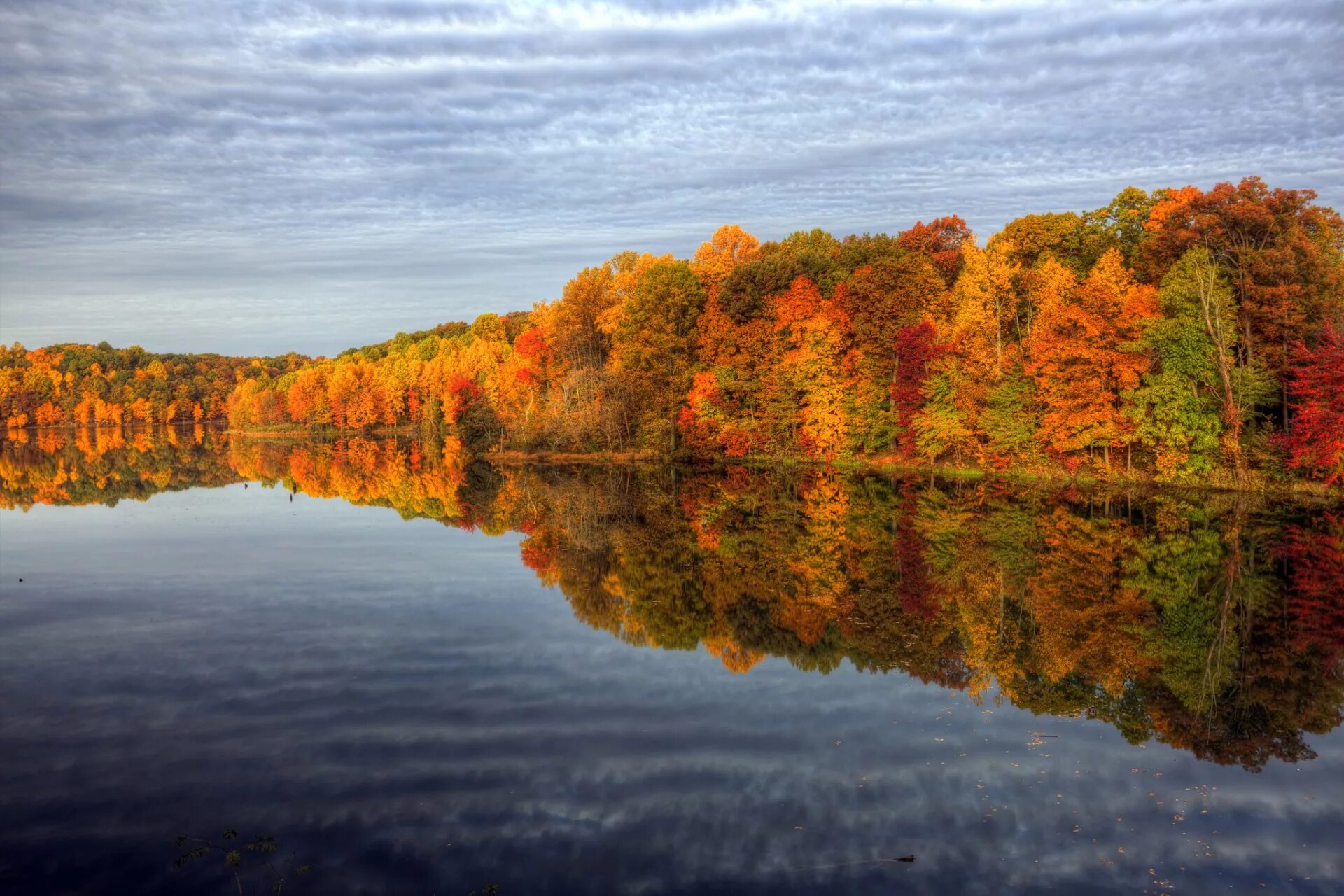 Деревья смотрят в воду. Природа осень. Осеннее озеро. Природа осенью. Озеро осенью.