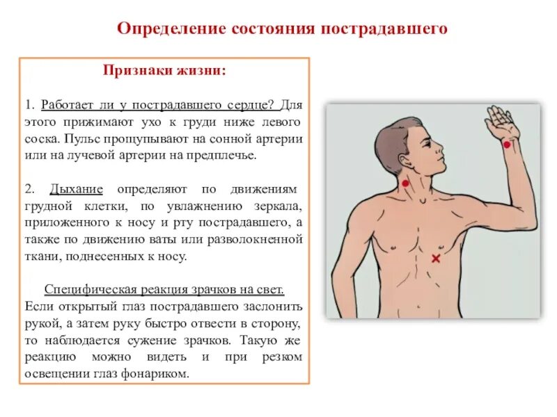Как определить дыхание у пострадавшего. Определение состояния пострадавшего. признаки определения состояния пострадавшего. определение признаков жизни у пострадавшего. при определении признаков жизни у пострадавшего проявляются.