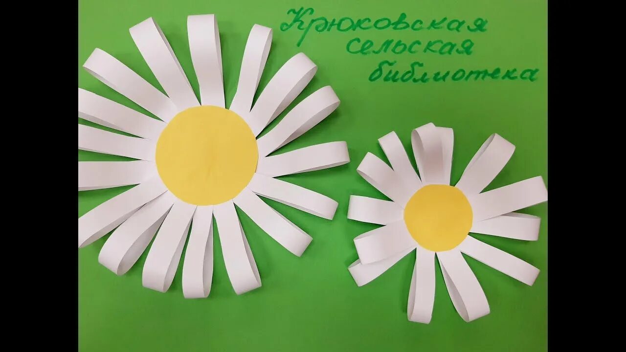 Полевые ромашки. Поле белых ромашек. 8 июля день ромашки. Желтые и белые ромашки. Поле белых ромашек.