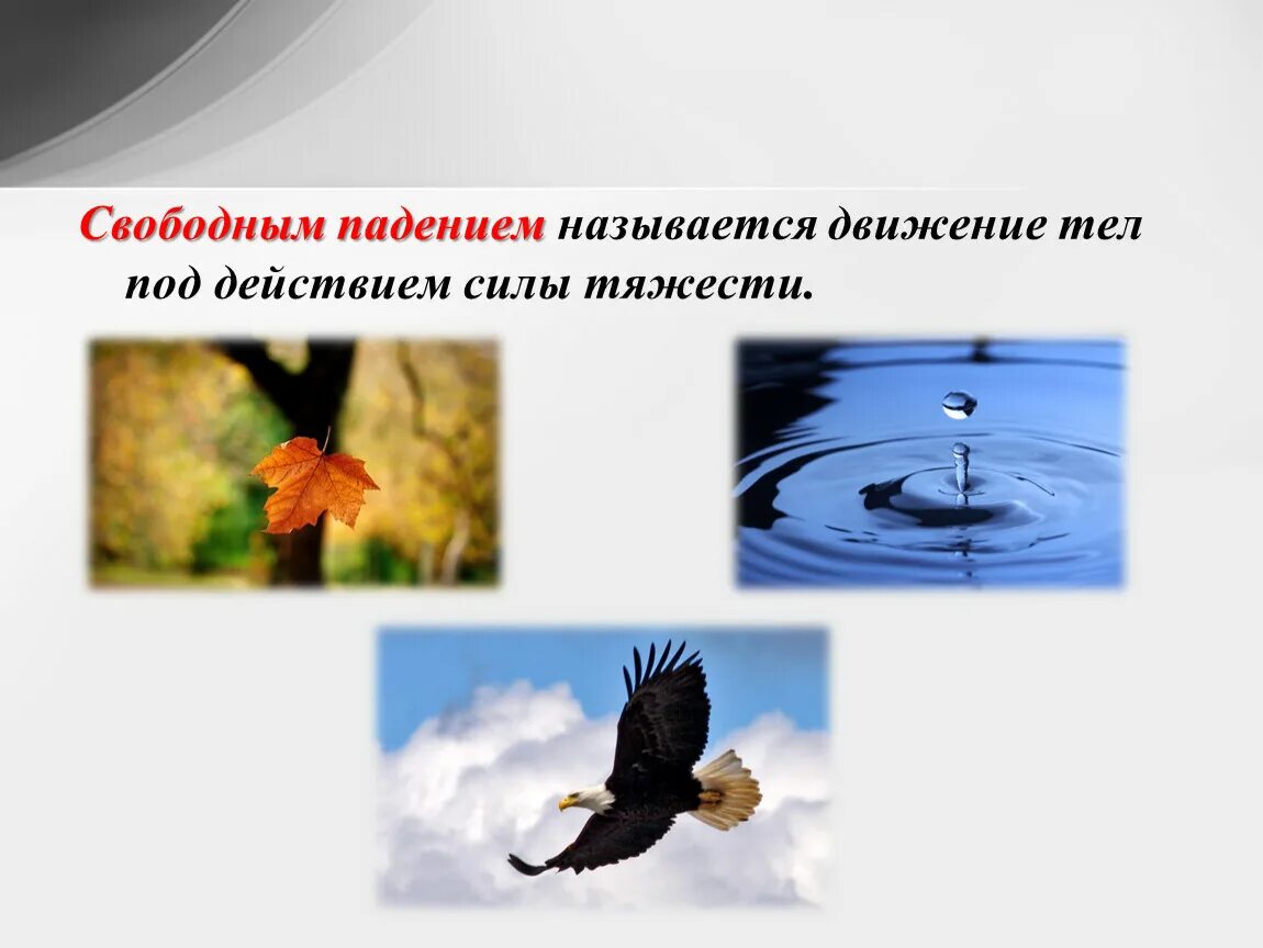 Что называют свободным падением тела примеры Свободное падение видеоурок найдено 88 картинок