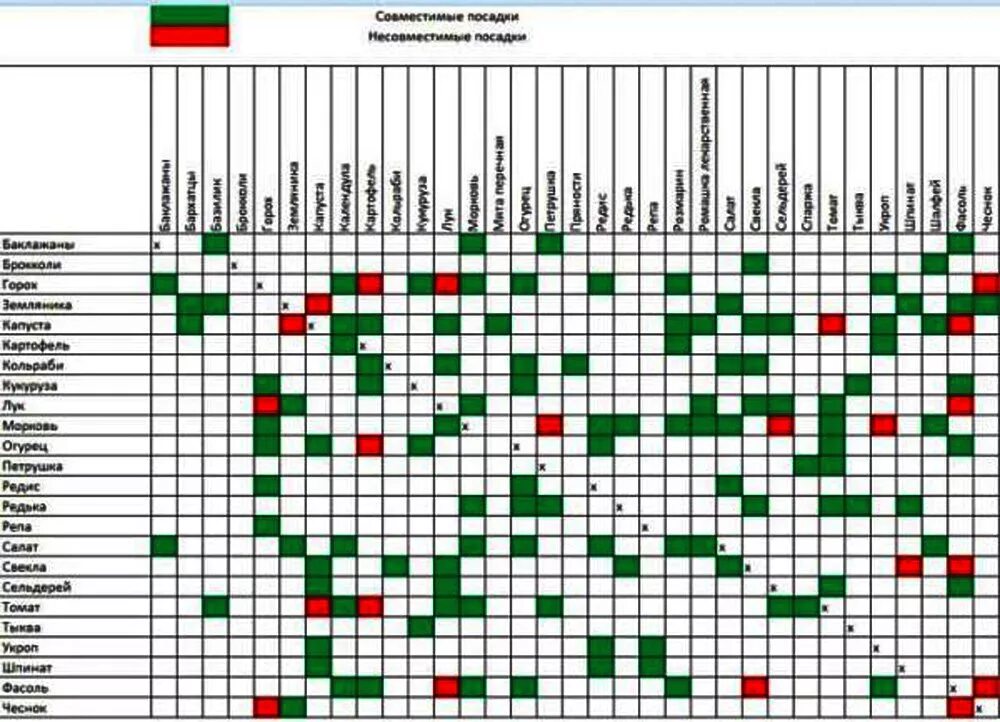 Совместные посадки овощей. Схема совместимости плодовых деревьев. Совместимость посадки плодовых деревьев в саду таблица. Совместимость плодовых деревьев и кустарников в саду таблица. Совместимость растений в саду и огороде таблица плодовые.