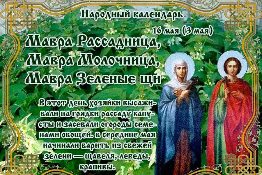 16 мая даты. 16 мая мавра рассадница мавра молочница мавра зеленые щи. праздник мавра рассадница. 16 мая народный календарь. мавра рассадница 16 мая.