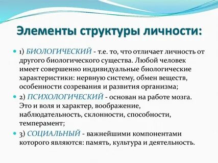 Характеристика структурных элементов