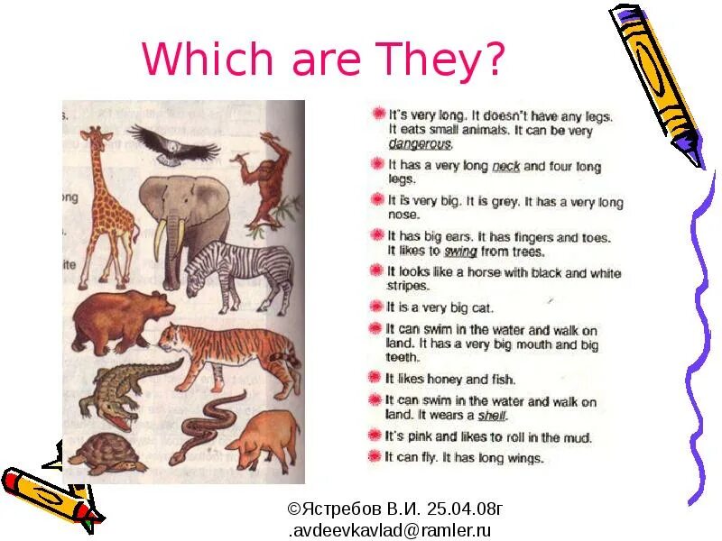 Animals 2 класс. Текст про животных на английском. Животные на английском языке 2 класс. Английский текст про животные.