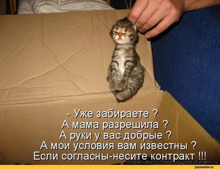 Сам не хочешь открывать