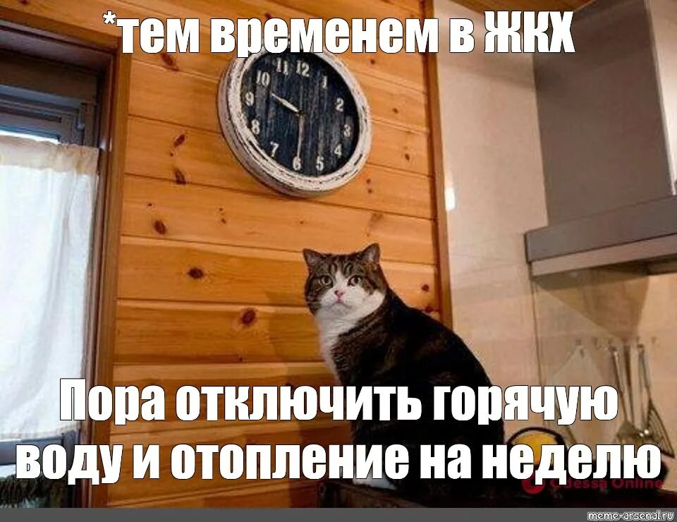 Мемы с котом и часами. Кот пора. Мем кот пора. Мем с котиком и часами пора. Meme hour