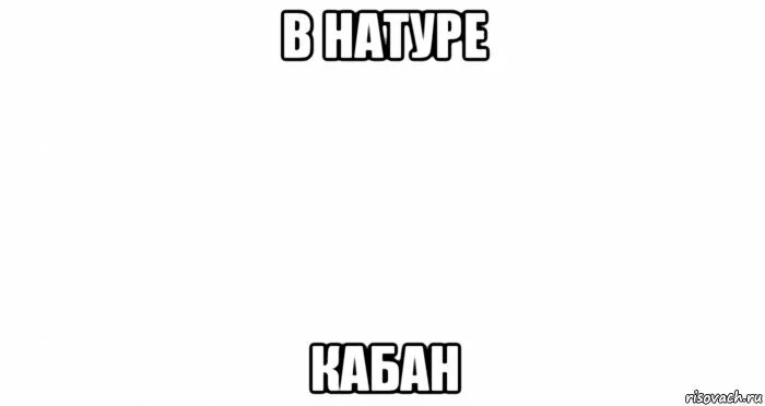 Скажи в натуре. Ты в натуре кабан. Пустые мемы. Натура надпись. В натуре Мем.