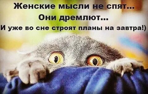 Дремлят или дремлют