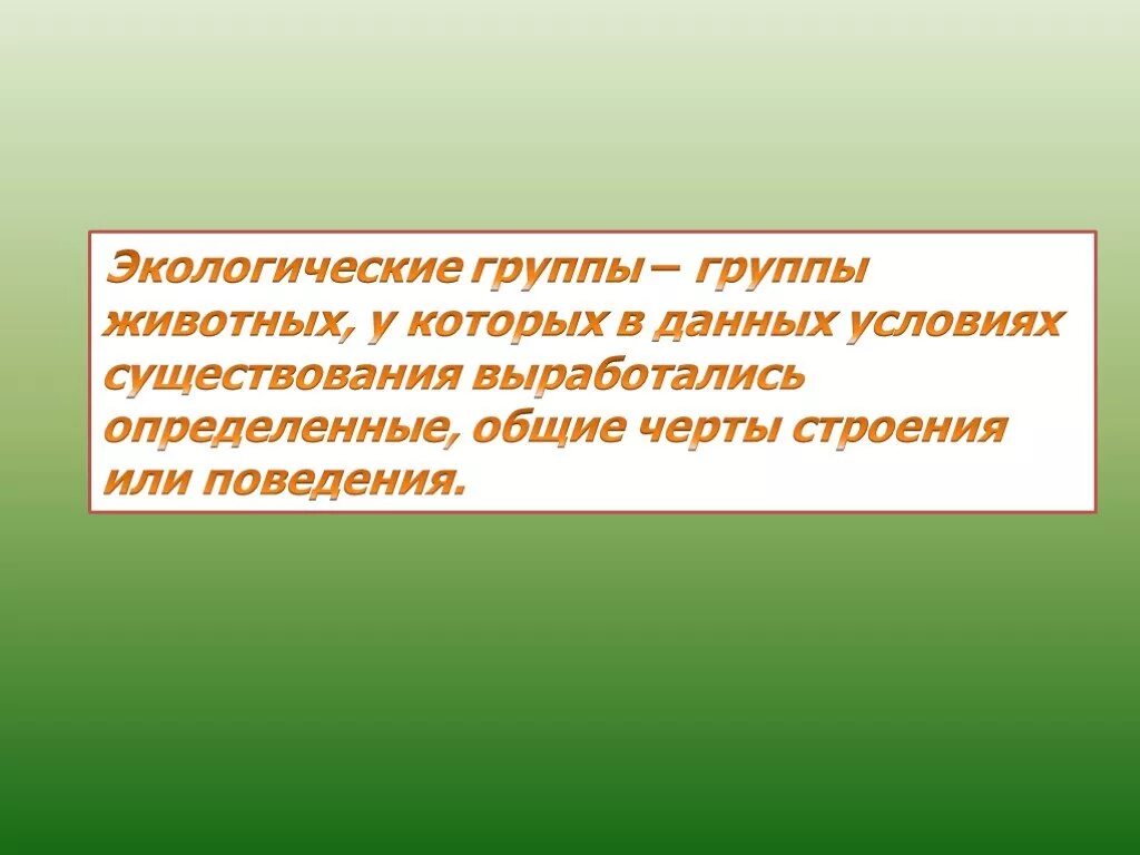 Три экологические группы. Экологические группы животных. Экологические группы животных по отношению к почве. Презентация экологические группы животных. Группы животных по отношению к свету.