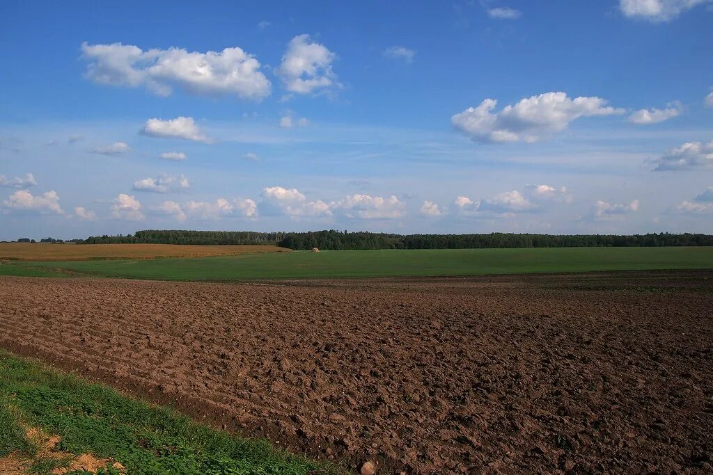 Купить участок большое поле. Сельхоз земли. Земли сельхозназначения. Земли сельскохозяйственного назначения. Вспаханное поле.
