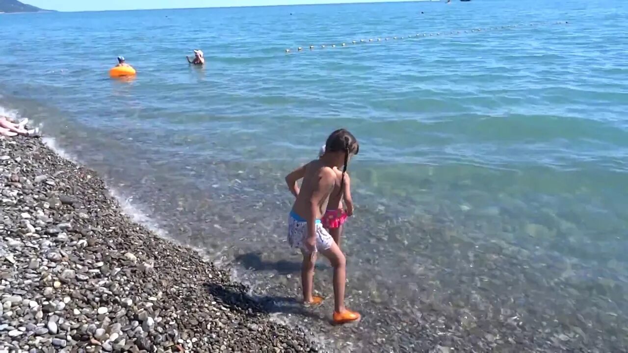 Лазаревское море медузы. Медузы в Лазаревском. Лазаревское детский пляж.