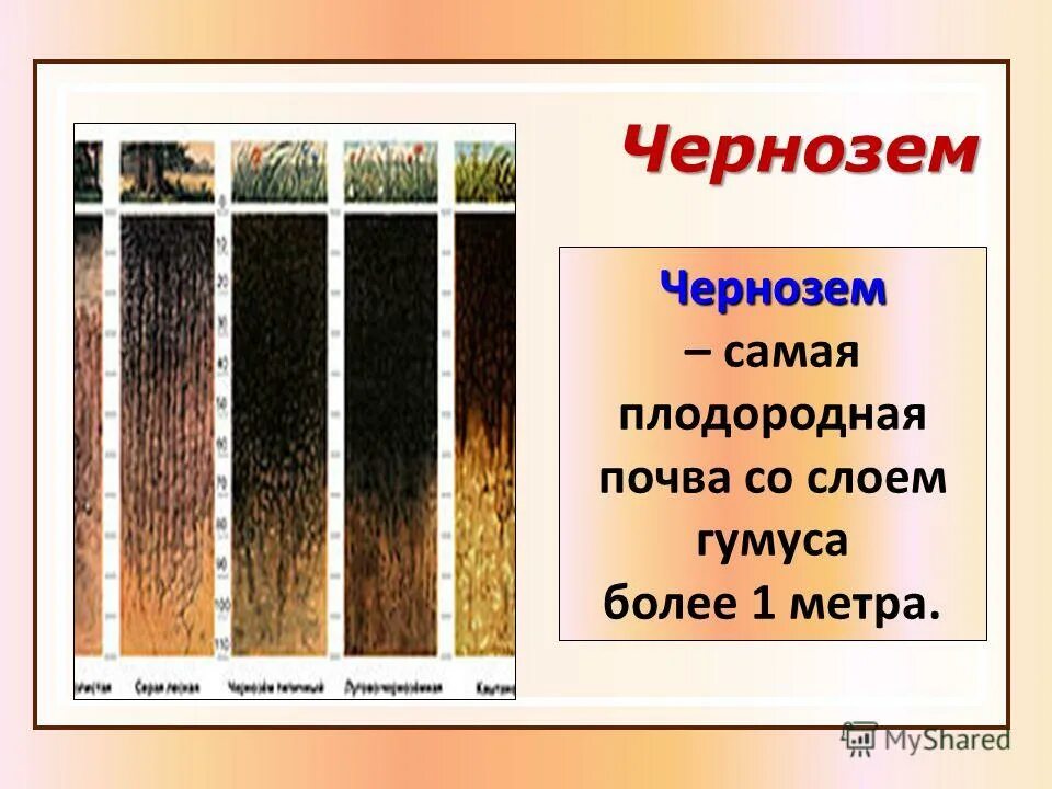 Какая почва самая плодородная. Почва презентация. Понятие о почве. Укажите самую плодородную почву. Самая не плодородная почва.