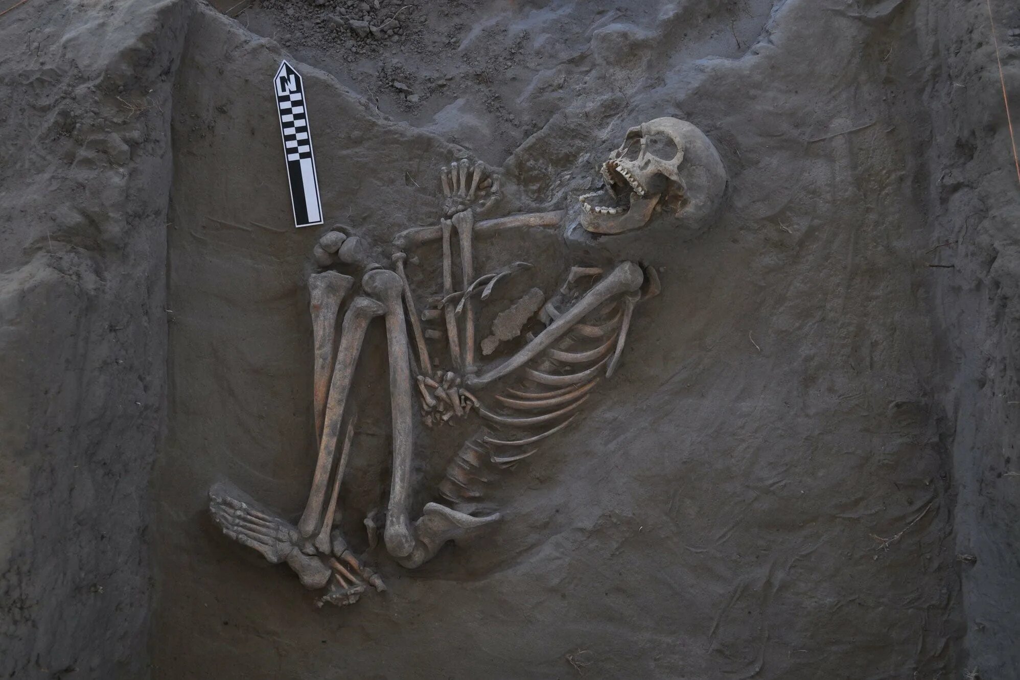 Ancient remains. Раскопки некрополей в афинах. Ancient remains. Останки викингов в норвегии. Dungeon painter.