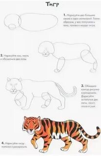 Как Нарисовать Тигренка Легко (52 Фото)