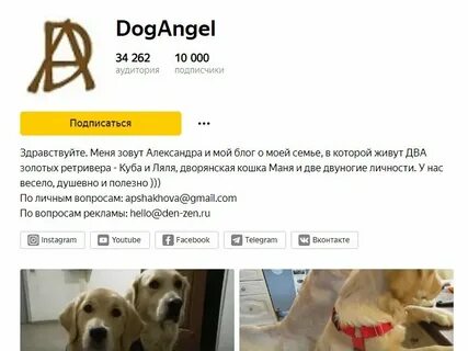 Догангел дзен