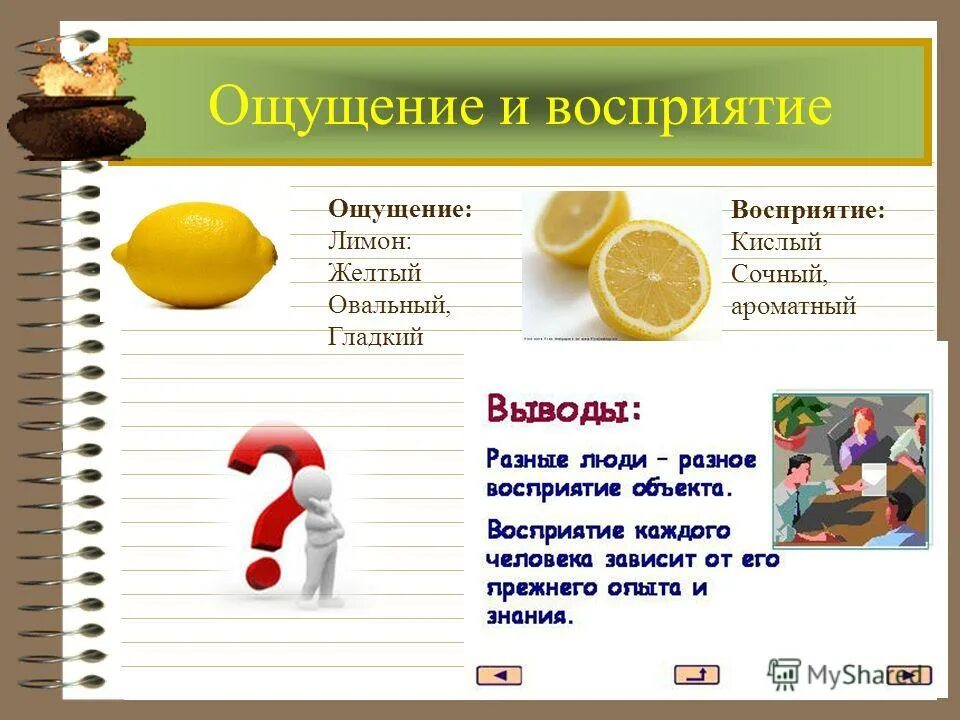 Стенические эмоции. Различия и сходства между чувствами и эмоциями. Классификация эмоций и чувств в психологии. Привести примеры чувств. Привести примеры чувств.