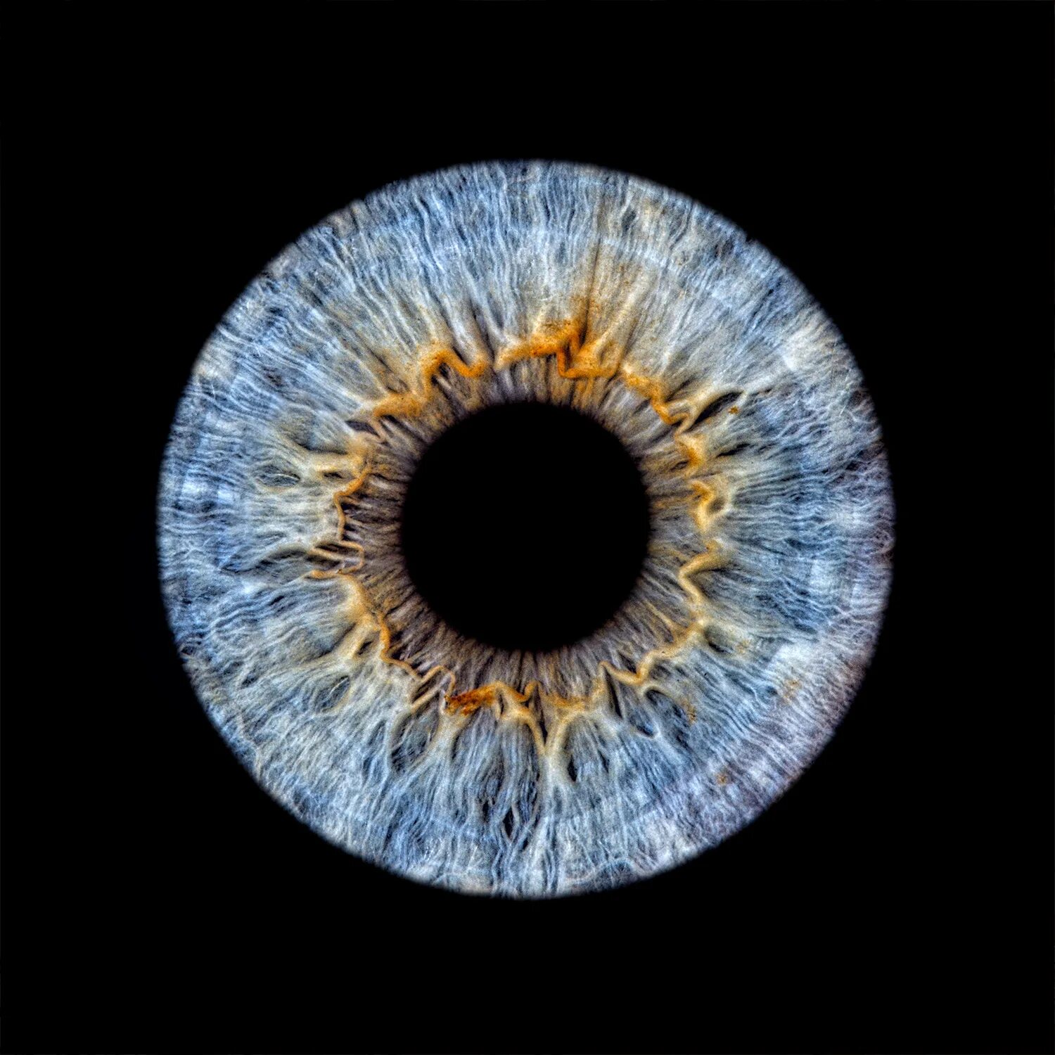 глаз человека. зрачок глаза. ирис радужная оболочка глаза. радужка глаза под микроскопом. Iris exes.