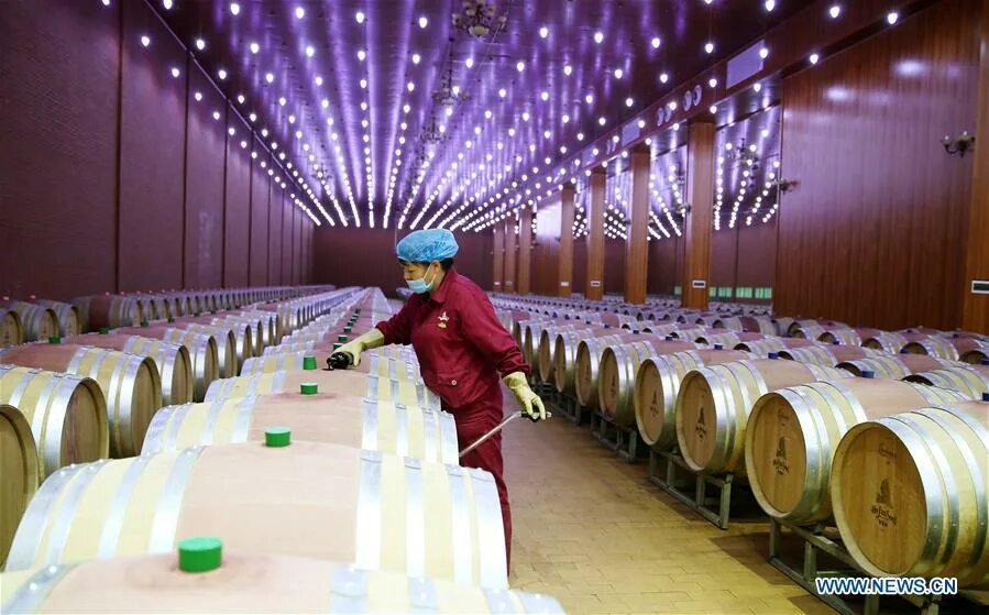 Учет производства вина. Винодельческая промышленность. Производство вина. Винная промышленность. Китайские производители вина.