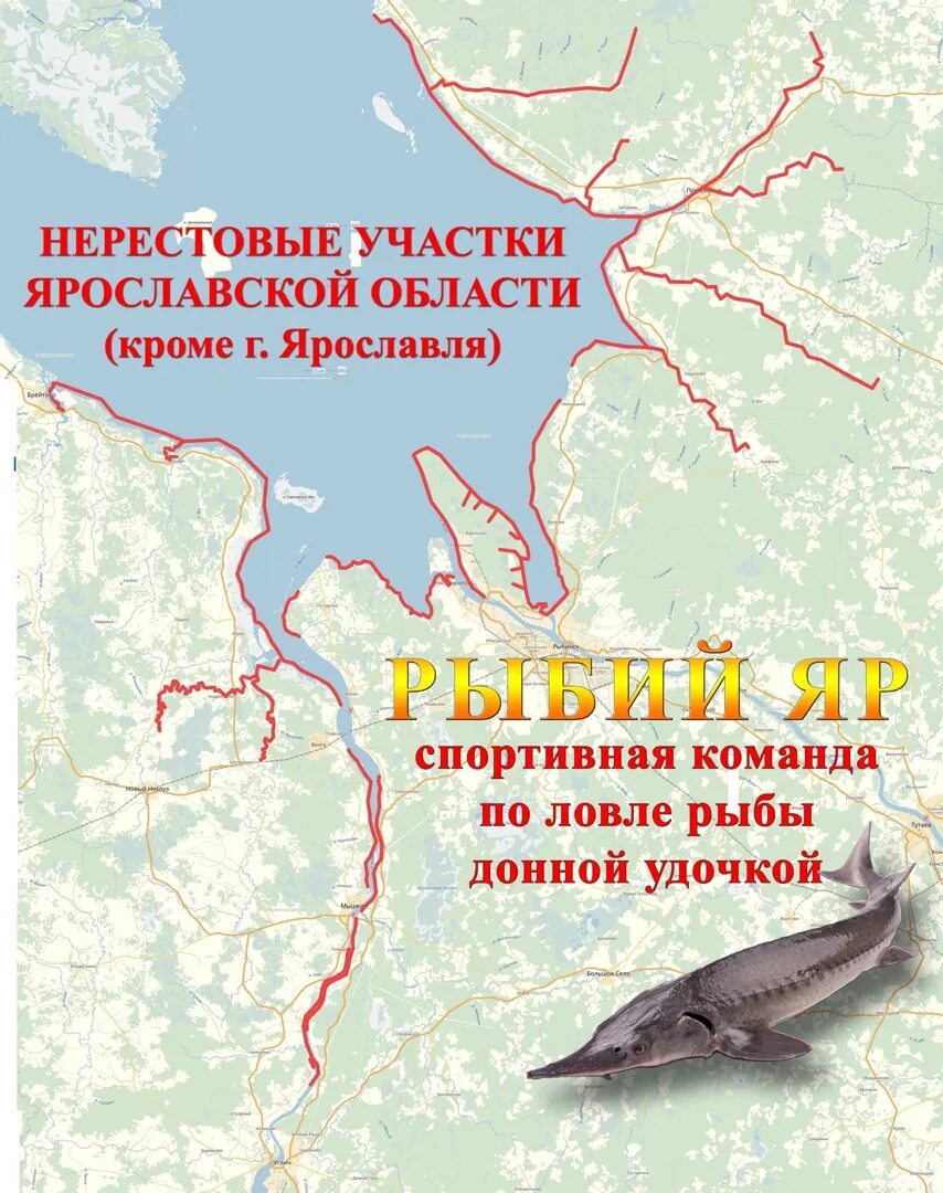 Запрет на ловлю в саратовской области. Нерестовые участки Рыбинского водохранилища. Карта нерестовых участков Рыбинского водохранилища. Места нереста на Рыбинском водохранилище на карте. Нерестовые зоны Рыбинского водохранилища.