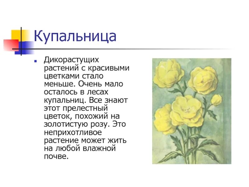 Цветов стало меньше