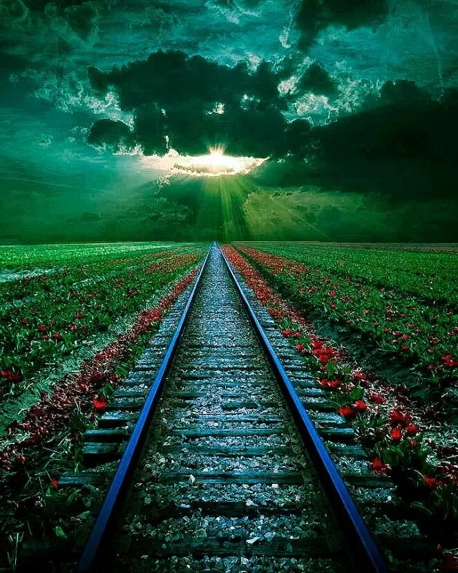 Beautiful this way. Калифорния каньон лестер роуд. Лестер роуд бесконечная дорога фото. Дорога уходящая вдаль. "солнце в лесу".