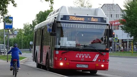 60 автобус пермь на завтра