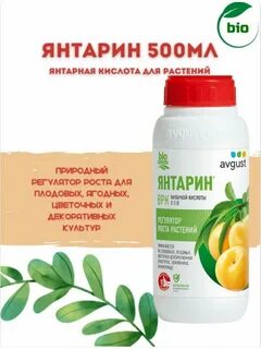 Янтарин для рассады томатов